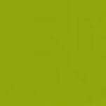 Robert Kaufman Kona Cotton - Lime