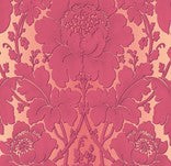 Rose Blush - Garden Damask