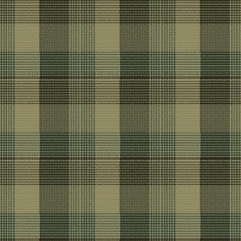 The Mountains are Calling - Green plaid Flannel